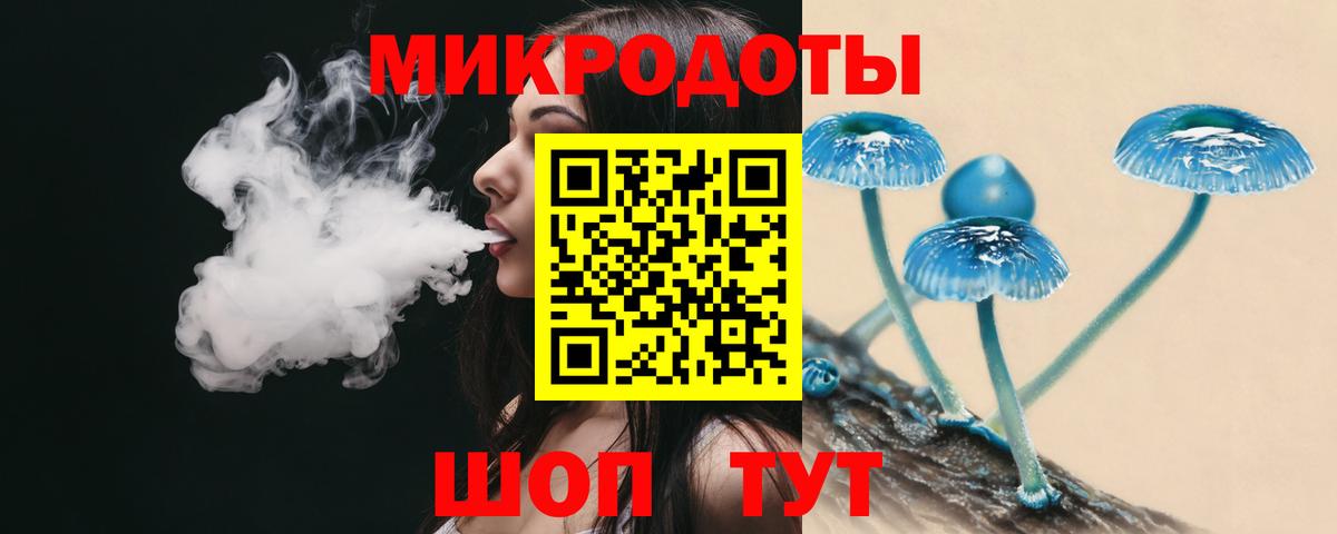 Шадринск  Галлюциногенные грибы Psilocybe  Вход с VPN  Псилоцибиновые грибы прущие грибы 